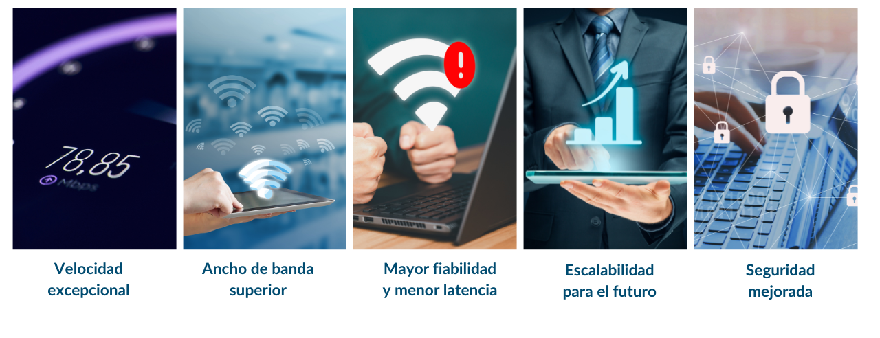 IMG para newsletter 29-07-2024 (1).png