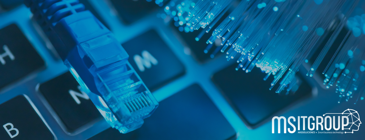 IMG para newsletter 29-07-2024.png