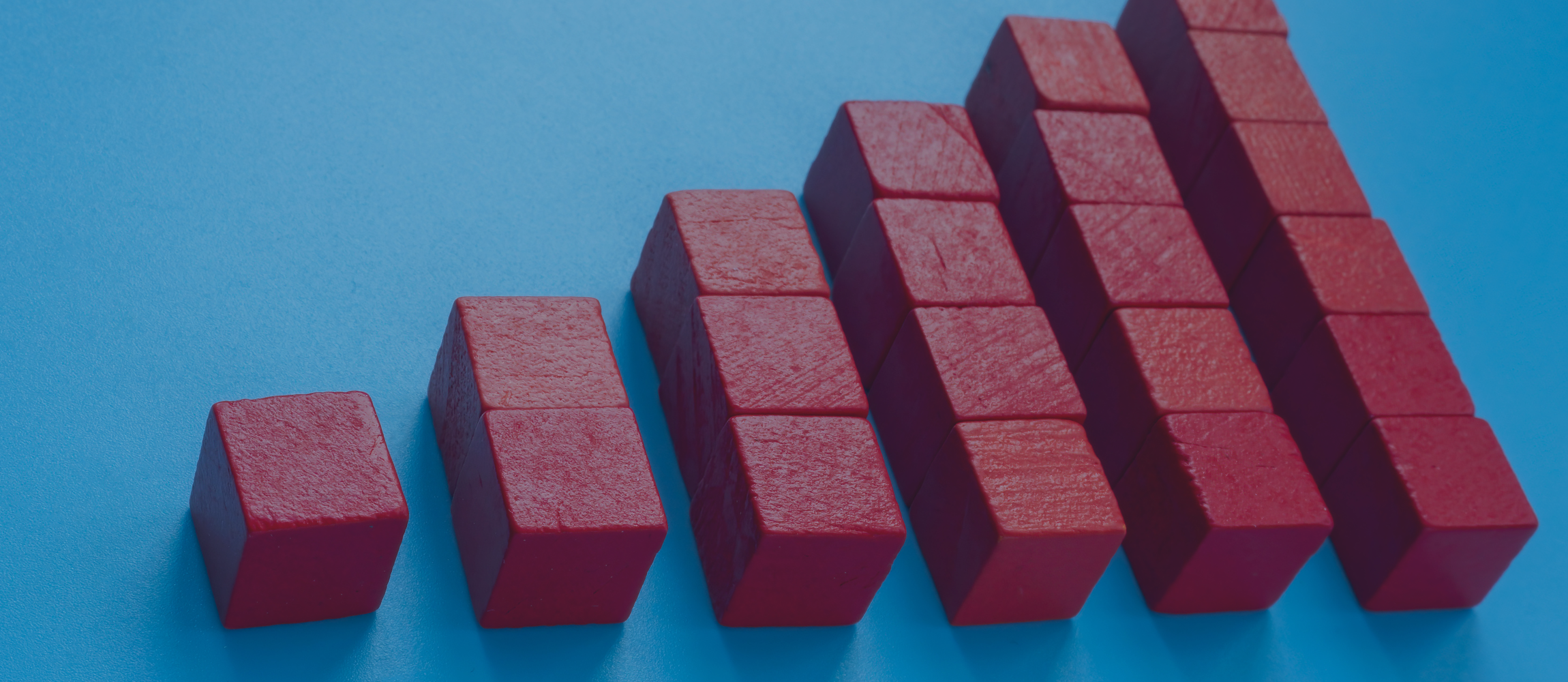 IMG PARA NEWSLETTER 23-12-2024 (3).png