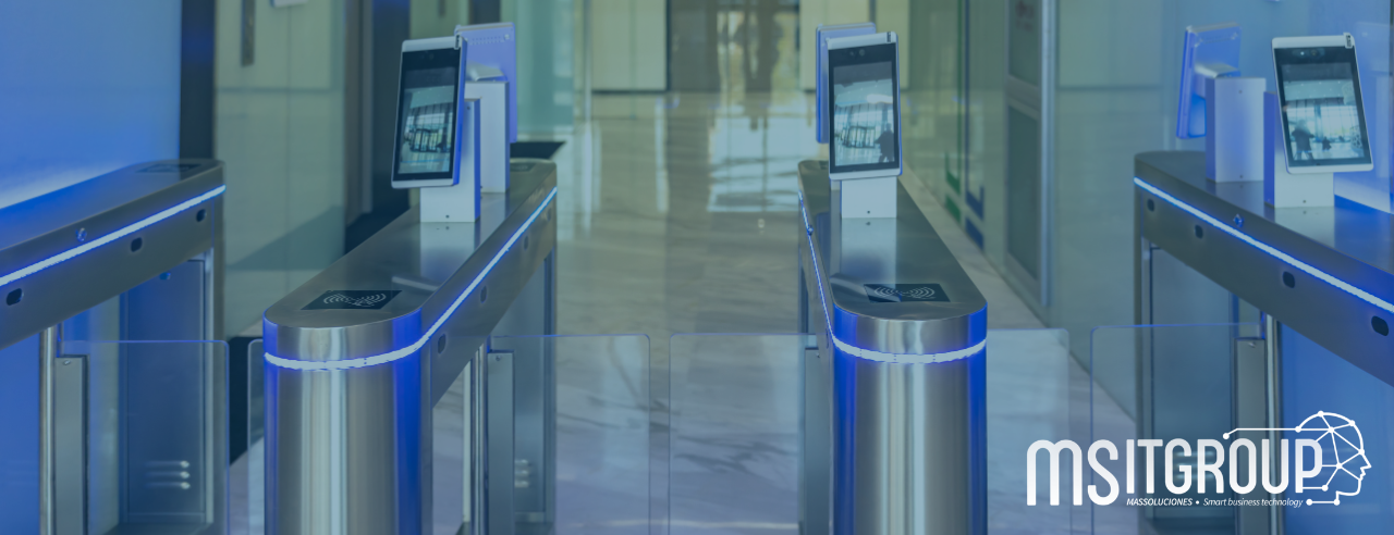 IMG para newsletter 08-07-2024.png