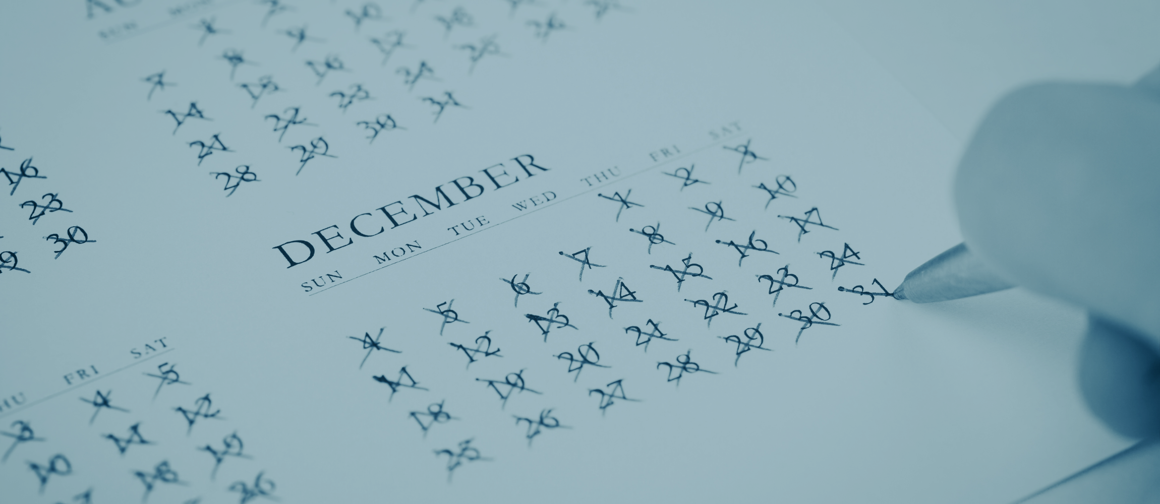 IMG PARA NEWSLETTER 23-12-2024.png